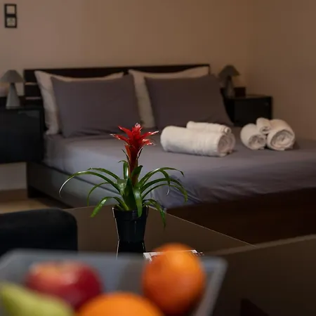 Filotimo Roofgarden Brown Apartment