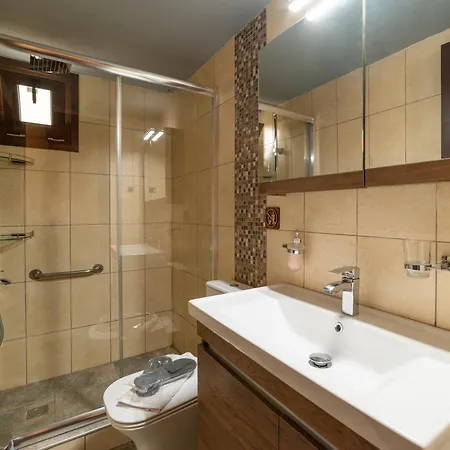 Filotimo Roofgarden Brown Apartment